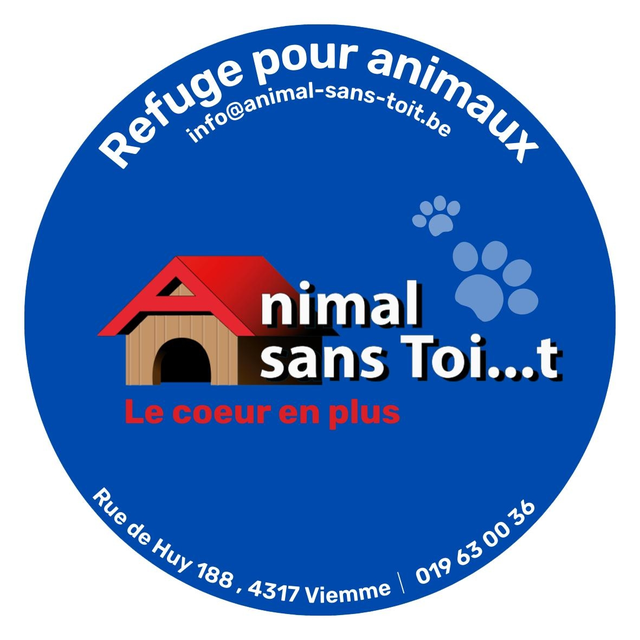 Animal sans Toit