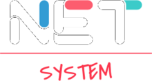 Net System